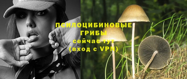марки nbome Алзамай