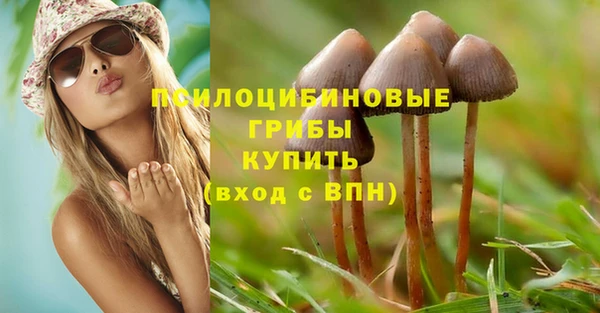 прущий лед Алексин