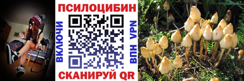 Галлюциногенные грибы мицелий  Сортавала 